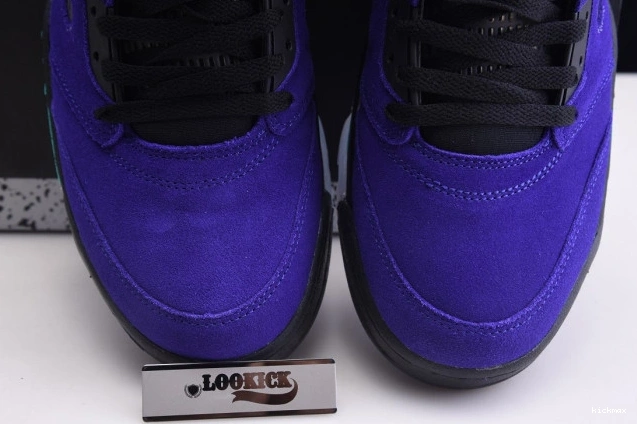 Rep Air Jordan Alternate 136027-500 Retro Grape 5 0811